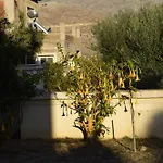 Traditional In Nature Apartment