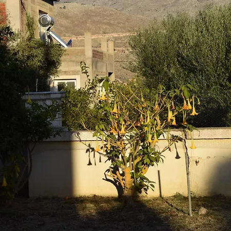 Traditional In Nature Apartment
