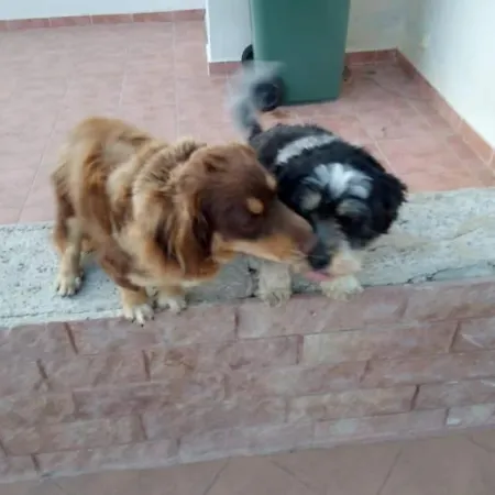 Traditional In Nature شقة *