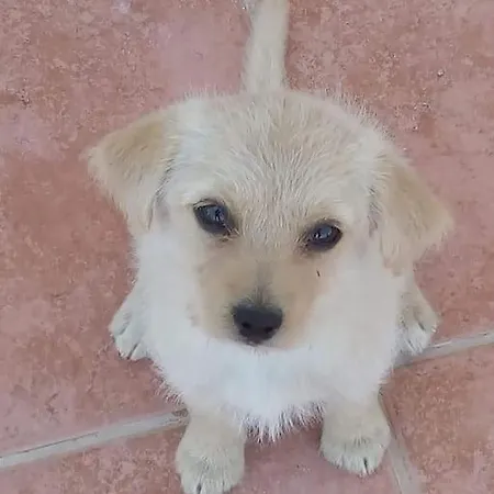 Traditional In Nature Apartman