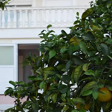 شقة Traditional In Nature Kouvalata