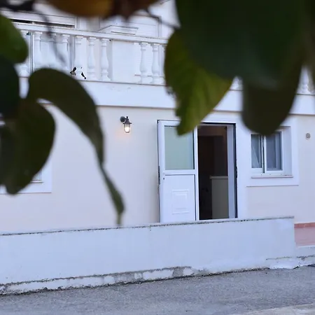 Traditional In Nature *