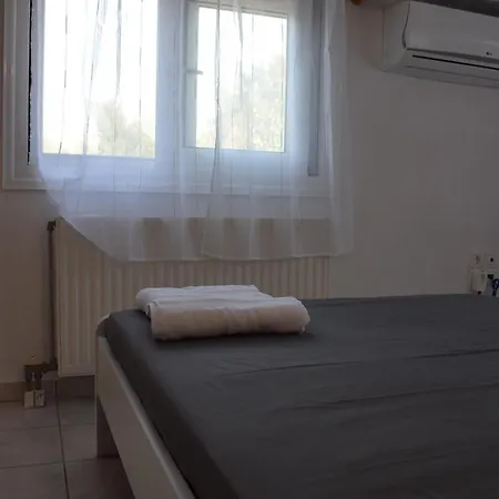 Traditional In Nature *